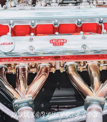 Jaguar Type C Moteur - Peinture de François Bruère