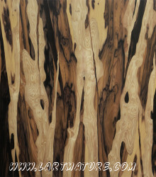 Sans titre 32 de Jacques Moisan Sans titre 32 - Marqueterie de Jacques Moisan
