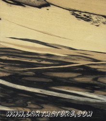 Sans titre 43 de Jacques Moisan Sans titre 43 - Marqueterie de Jacques Moisan