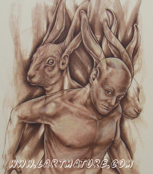 Lièvres - Dessin, Peinture de Jean-Paul Minster