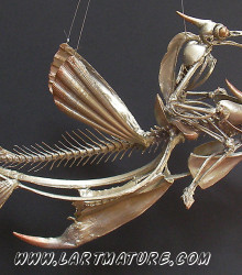 Poisson Volant - -Assemblage de Jean-Paul Minster