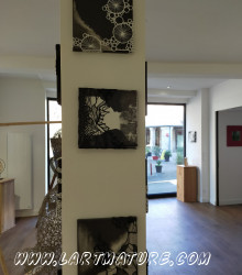 Toiles N&B - Dessin, Peinture, Sculpture, --Collage 3D de Violaine Sausset