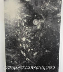 Paysage intérieur 2 "X-100-75-40P" - Art numérique, Radiographie de Yves Jumeau alias Roboam