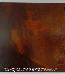 Photo "X 73-92 couleur 19" - Art numérique, Radiographie de Yves Jumeau alias Roboam