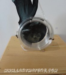 X-ray Spirale - Radiographie, Sculpture de Yves Jumeau alias Roboam