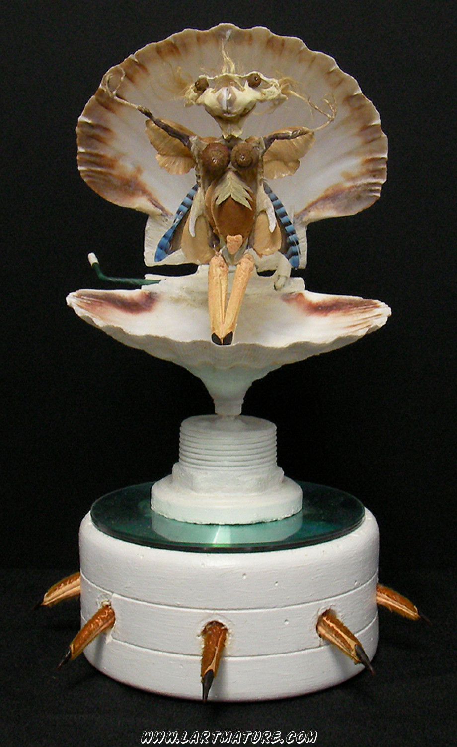 Vénus - -Assemblage de Jean-Paul Minster