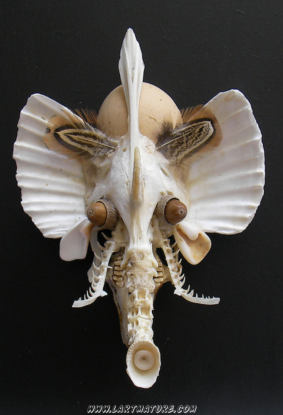 Vertèbre Éléphant Licorne - -Assemblage de Jean-Paul Minster