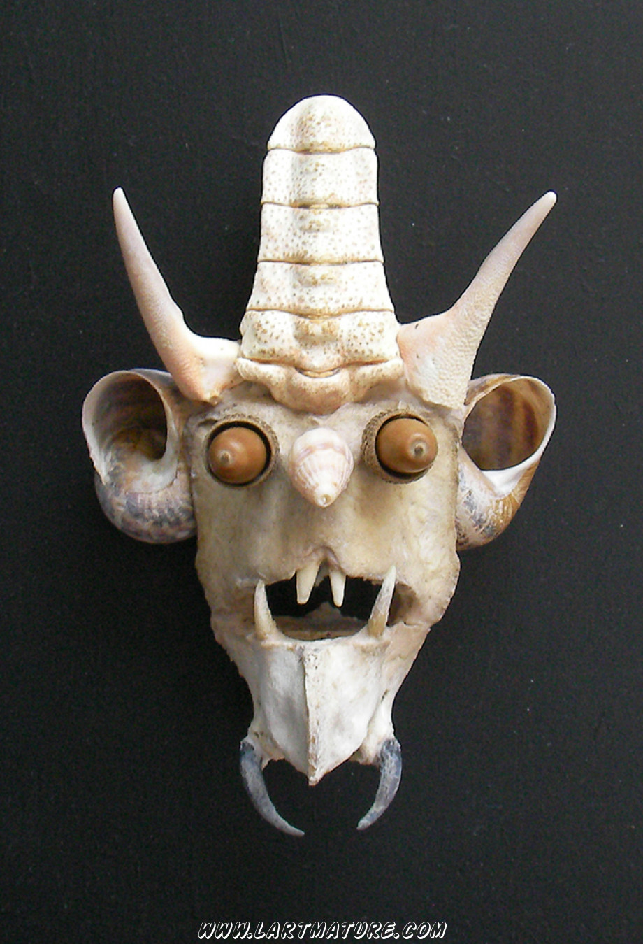 Vertèbre Petit Diable - -Assemblage de Jean-Paul Minster