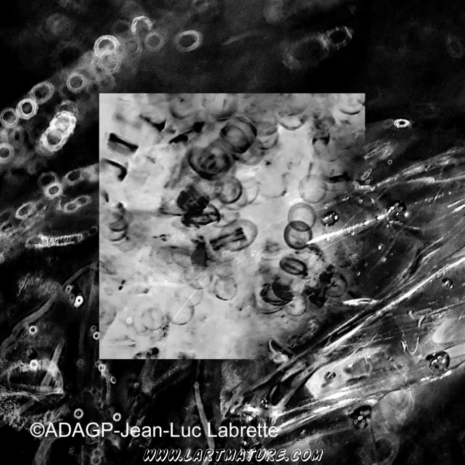De Materiae 04 - Art numérique, Photographie de Jean-Luc Labrette