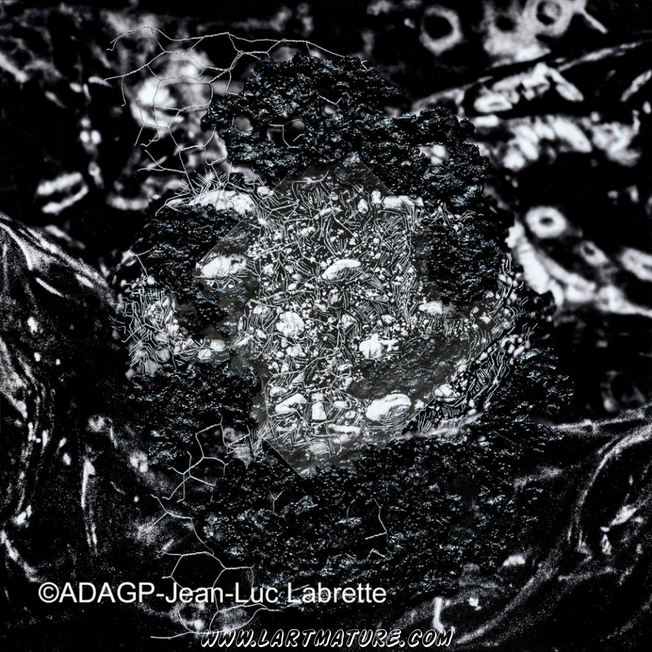 De Materiae 57 - Art numérique, Photographie, --Collage numérique de Jean-Luc Labrette