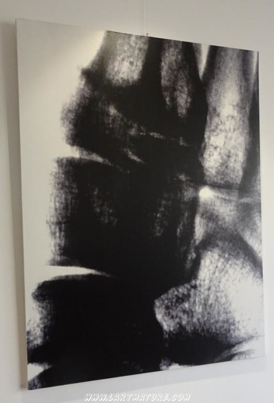 Paysage intérieur 1 - Art numérique, Radiographie de Yves Jumeau alias Roboam